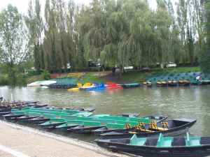 2008- (11).jpg